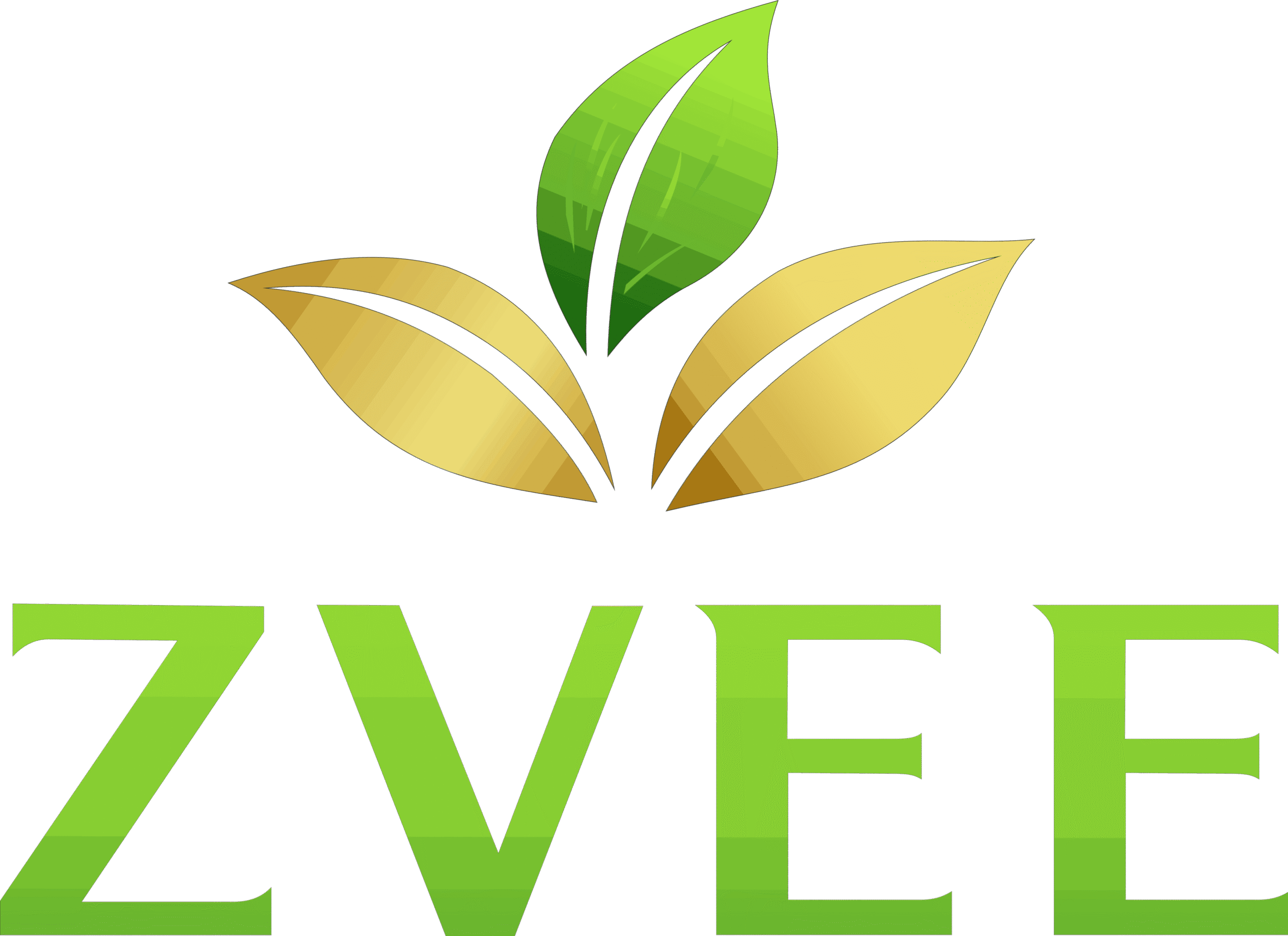 zvee logo